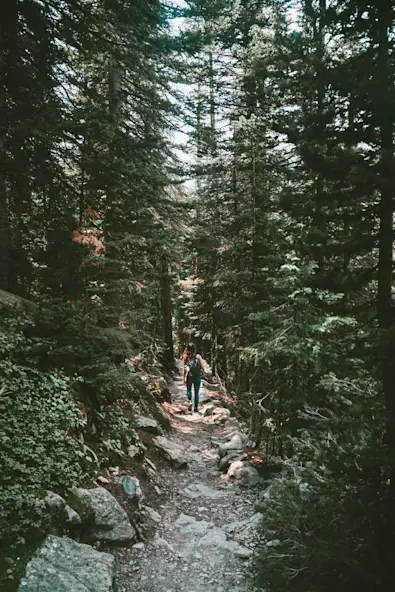 Photo by Josh Gordon on Unsplash