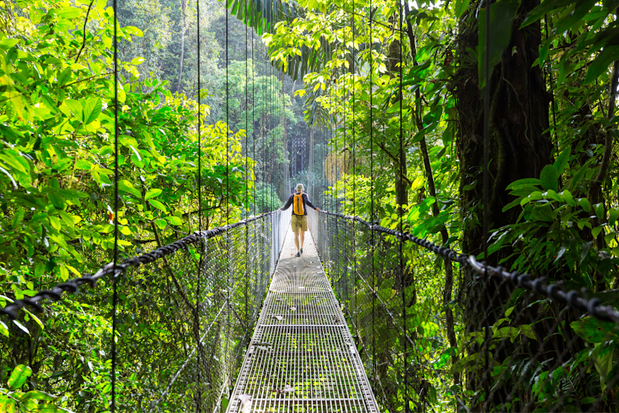 A rope bridge hanging in the Costa Rican jungle.