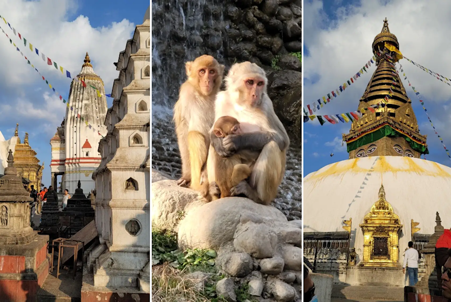 Swayambhunath Stupa (Monkey Temple)