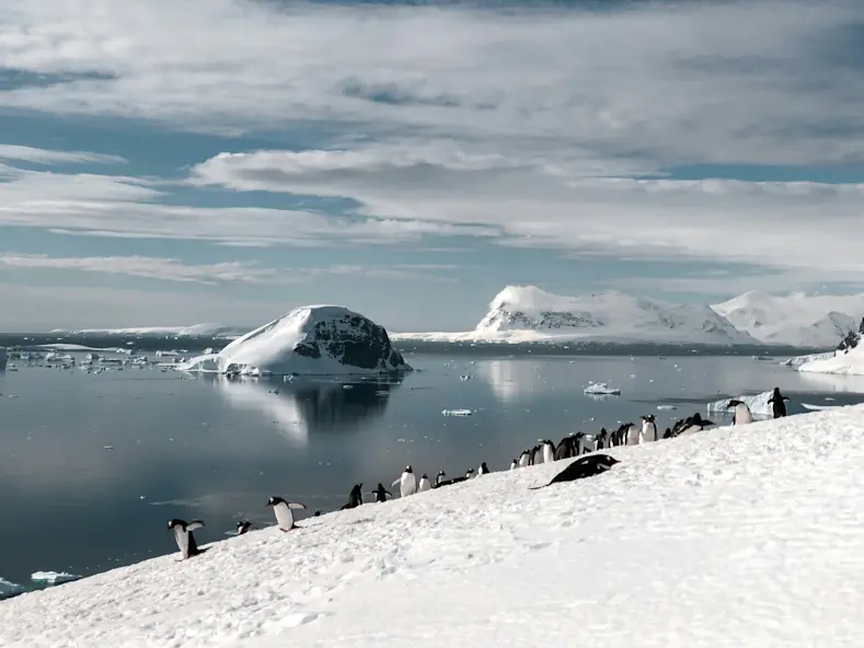 Antarctic Peninsula