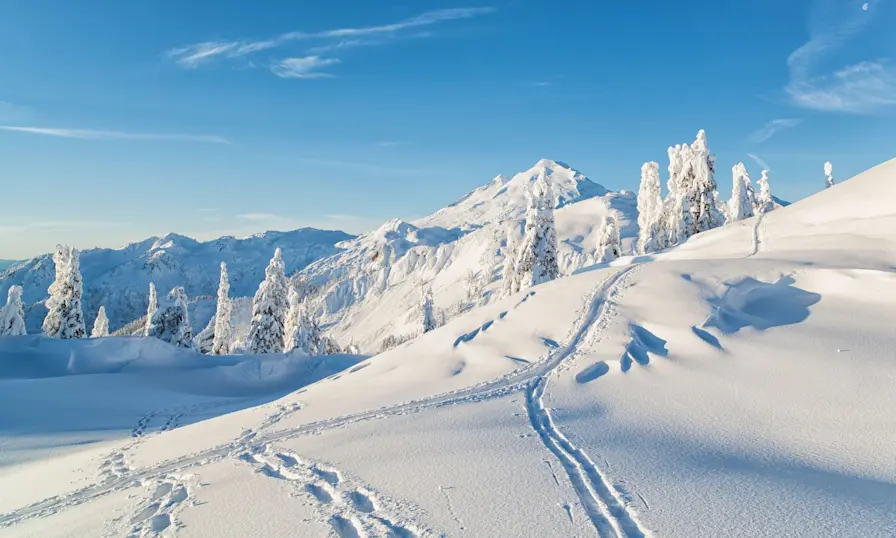 Mt. Baker's Artist Point in winter.