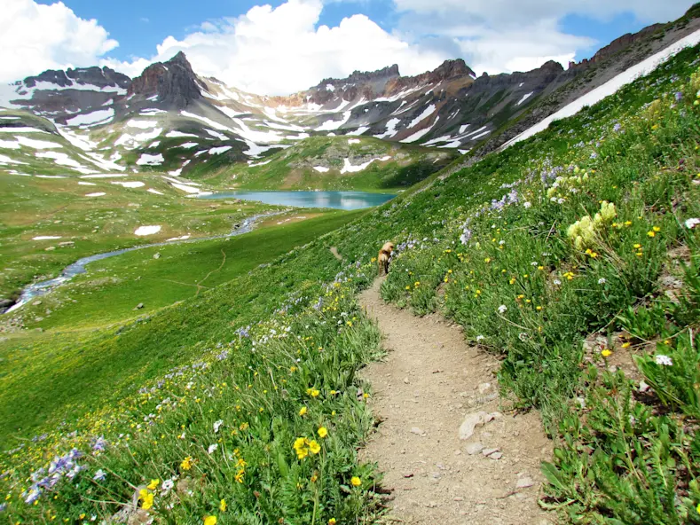 Ice Lakes Basin is a stunning Colorado hike